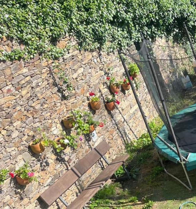 Casa A Boga Ribeira Sacra Βίλα Abeleda Εξωτερικό φωτογραφία