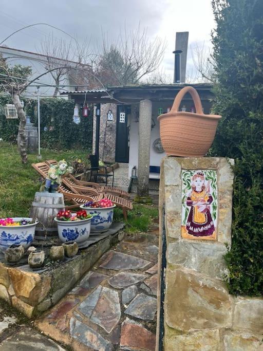 Casa A Boga Ribeira Sacra Βίλα Abeleda Εξωτερικό φωτογραφία