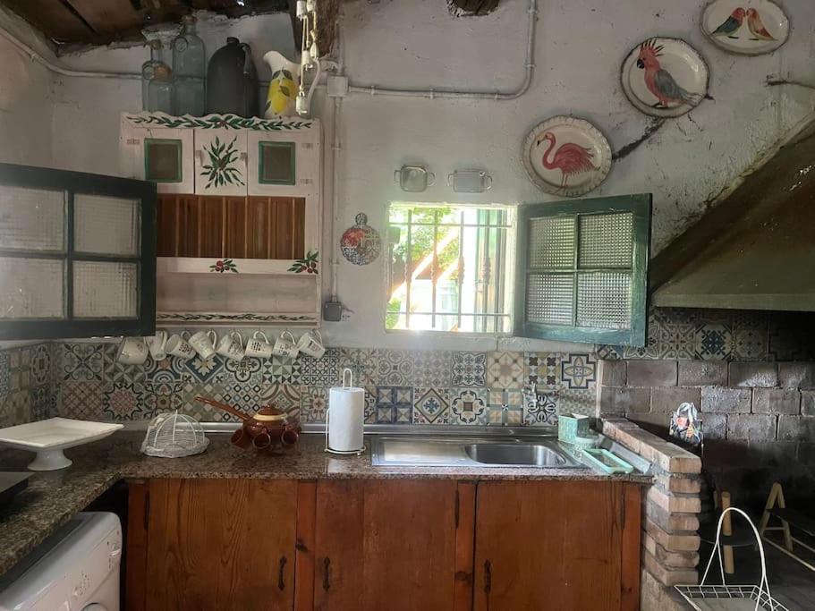 Casa A Boga Ribeira Sacra Βίλα Abeleda Εξωτερικό φωτογραφία