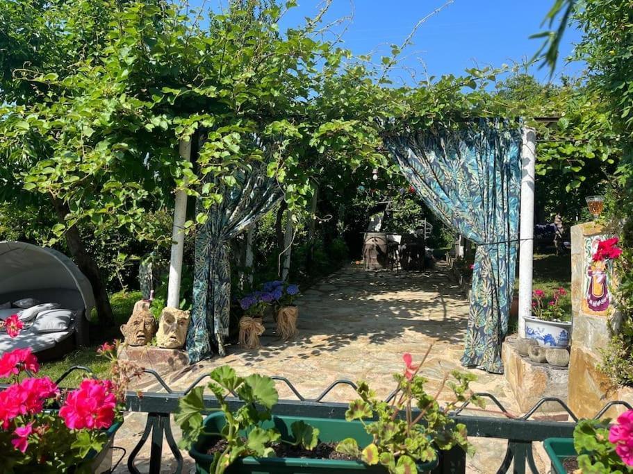 Casa A Boga Ribeira Sacra Βίλα Abeleda Εξωτερικό φωτογραφία